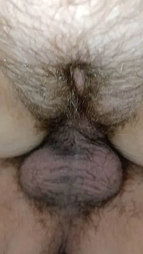 BWC, Breeding and Hairy Pussy — Skill1983 — amateur